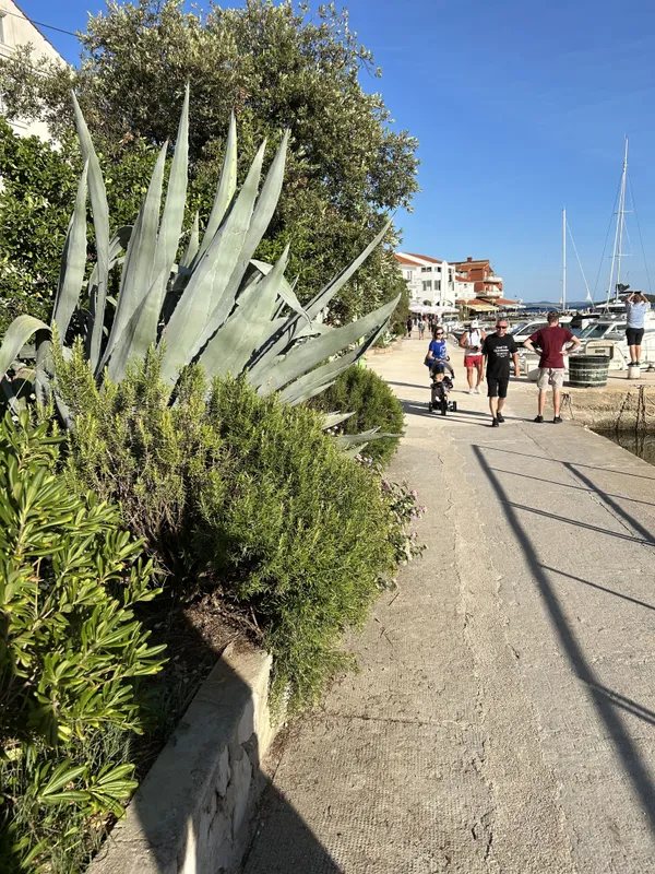 Vitorlázás a Balatonon és Adrián